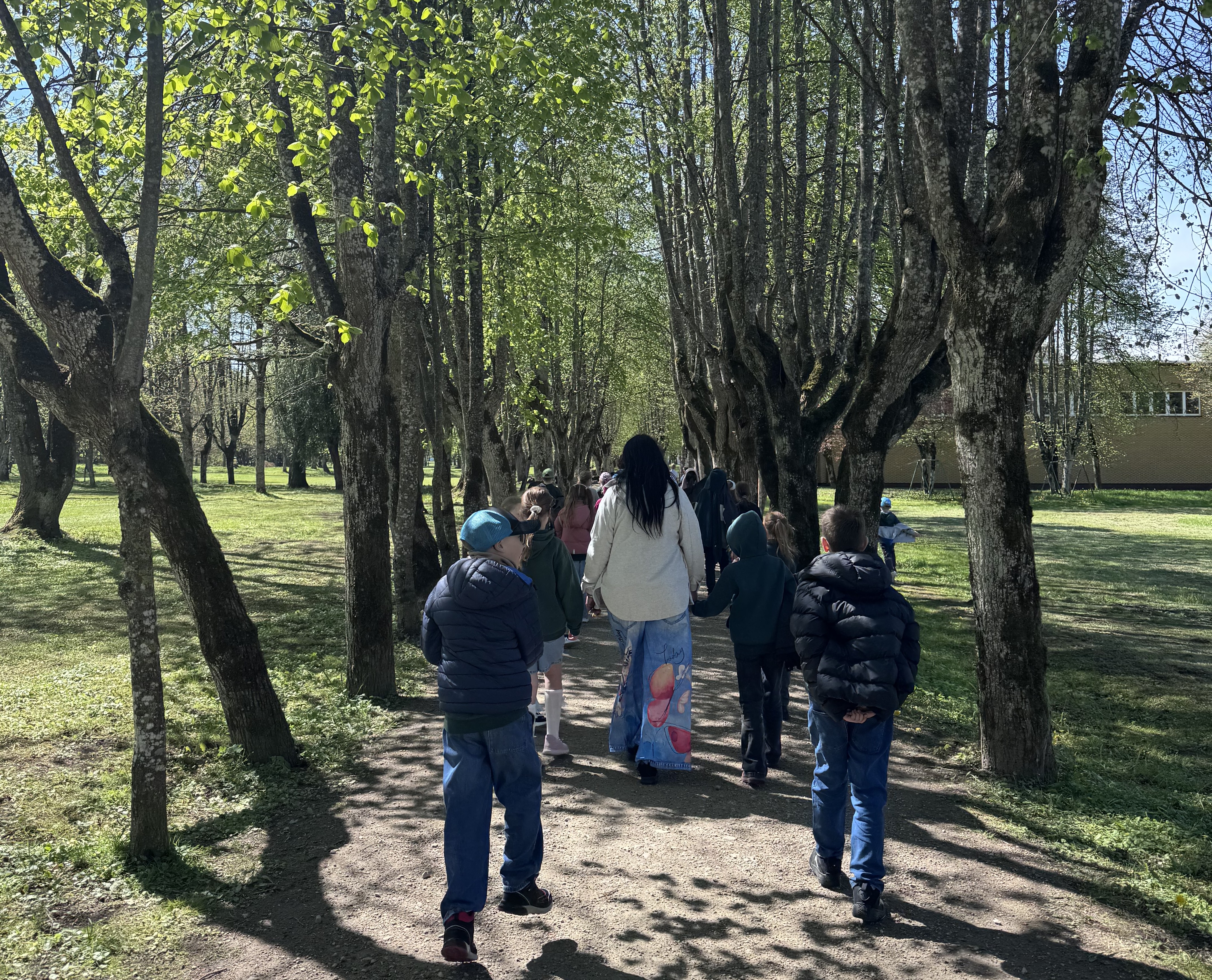 Edukacijos Kretingos dvaro parke: 369 pradinukai tyrinėjo senąsias medžių alėjas Edukacijos Kretingos dvaro parke: 369 pradinukai tyrinėjo senąsias medžių alėjas