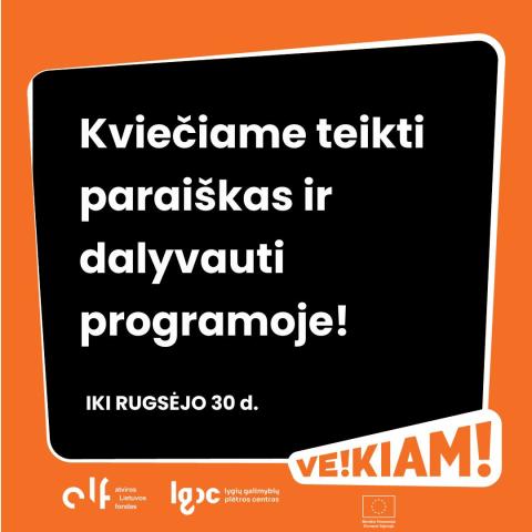 Nevyriausybinės organizacijos kviečiamos dalyvauti programoje „Veikiam“