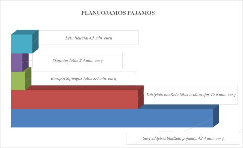 Planuojamos pajamos