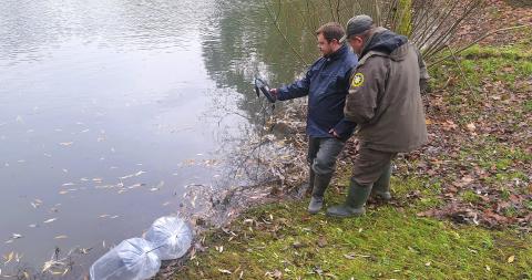 Įžuvinant Kretingos rajono tvenkinius paleista 1000 lydekų Įžuvinant Kretingos rajono tvenkinius paleista 1000 lydekų