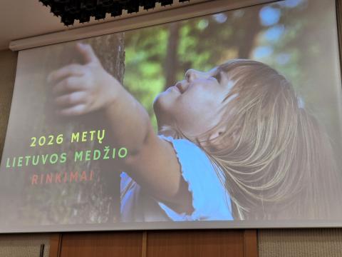 Paskelbti 2026 metų Lietuvos medžio rinkimų prizininkai – Gintarų piliakalnio ąžuolui skirta antroji vieta 