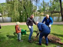 Kretingoje – 770 naujų medžių ir žydinčių krūmų