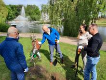 Kretingoje – 770 naujų medžių ir žydinčių krūmų
