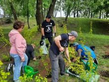 Kretingoje – 770 naujų medžių ir žydinčių krūmų