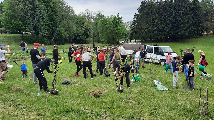 Kretingoje – 770 naujų medžių ir žydinčių krūmų