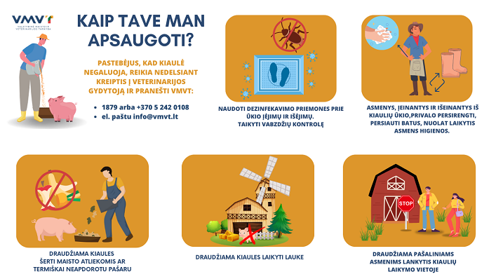 nformacinį maketą, kuriame vaizduojame pagrindinius biologinio saugumo reikalavimus, kuriuos privalo laikytis kiekvienas kiaulių augintojas. 