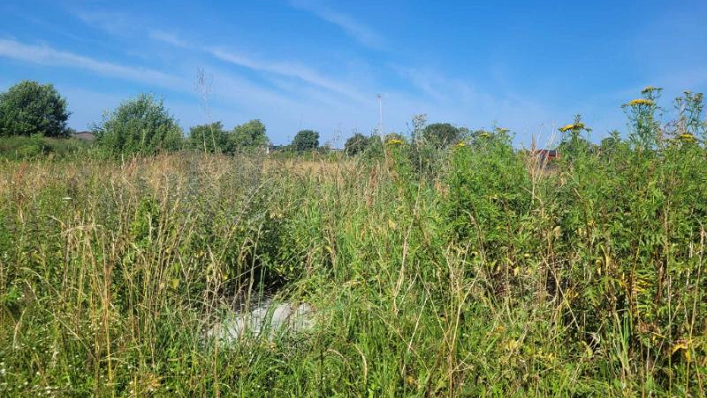 Sudarytas preliminarus nenaudojamų ir apleistų žemės sklypų sąrašas