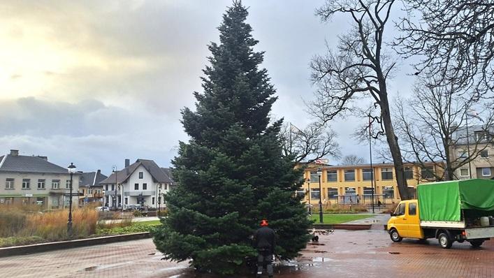 Į Kretingos Rotušės aikštę atkeliavo Kalėdų eglė