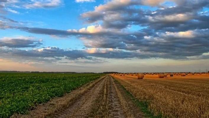 Rekomendacijos ūkininkams dėl audros metu patirtų nuostolių